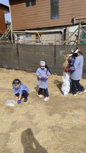 IMG_20250422_113112