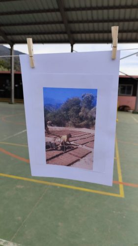IMG_20250522_111216